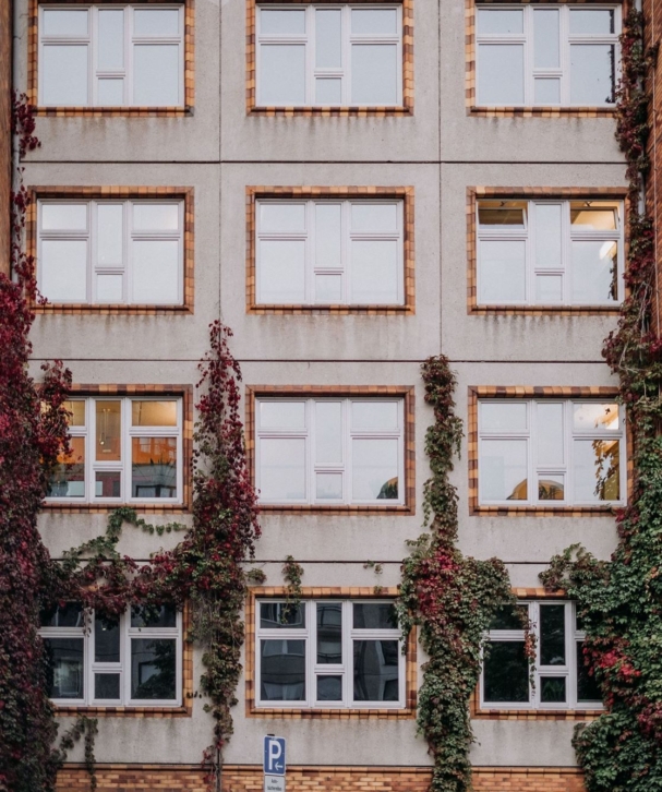 maria-teneva-eaJpYF-JtfA-unsplash